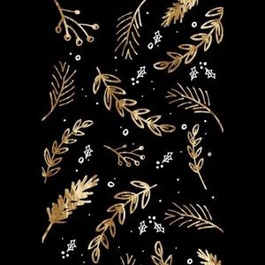 Meet your Posher, Cassidy