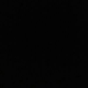 Meet your Posher, Miles