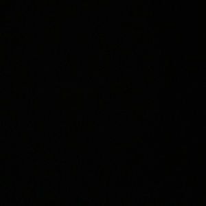 Meet your Posher, Paige