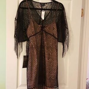 Bebe sexy sheer black lace dress