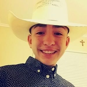 Meet your Posher, Gilbert