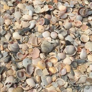 Meet your Posher, Lena