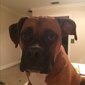 Meet your Posher, Katelyn