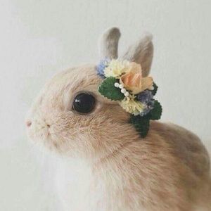 Meet your Posher, Hyeyoon