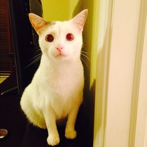 Meet your Posher, Maria