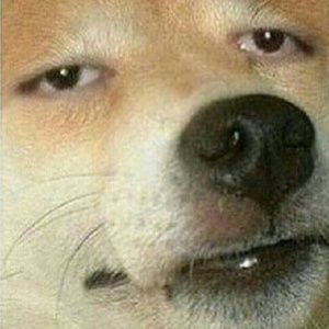 Meet your Posher, Donaldo