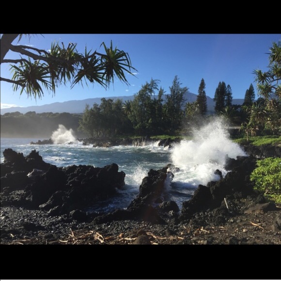 @annnoe - Picture 2 of 4