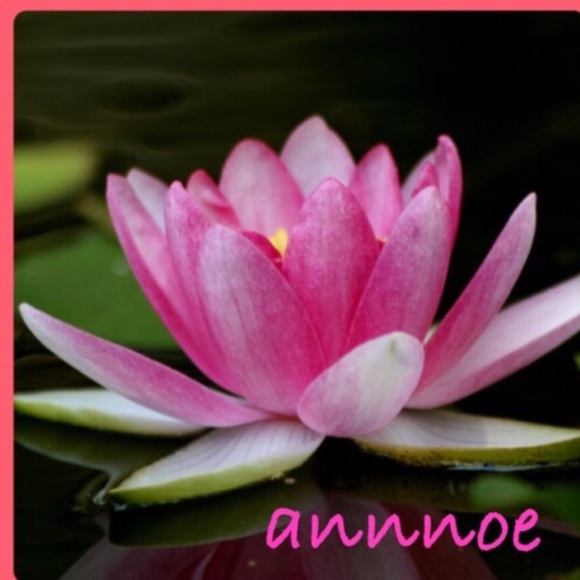 @annnoe - Picture 3 of 4