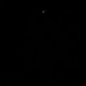 Meet your Posher, Okay