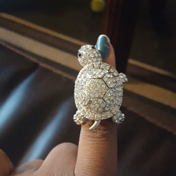 A shiny turtle ring