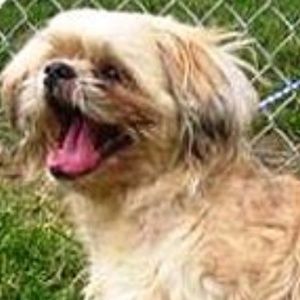 Meet your Posher, Fred