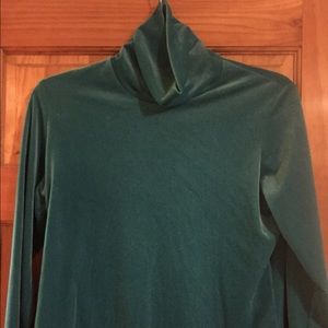 Teal velvet turtleneck
