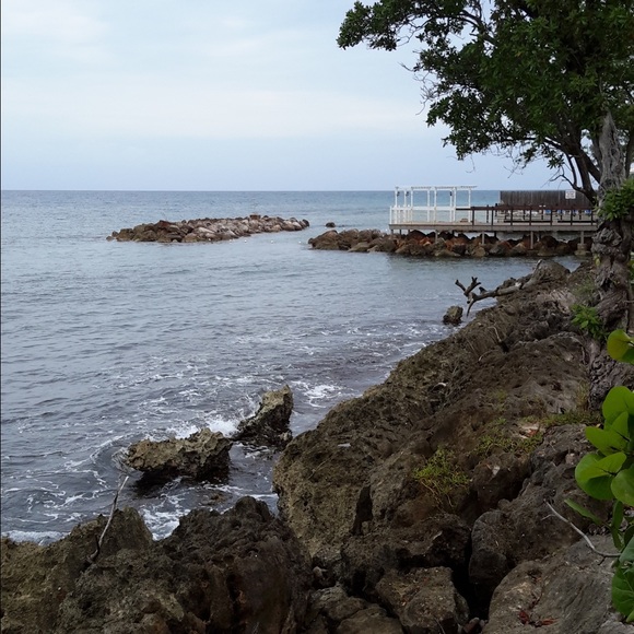 Meet your Posher, Lekisha - Picture 1 of 1