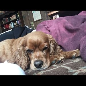 Meet your Posher, Judith