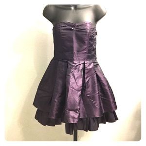 Royal purple H &M tulle dress