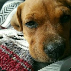 Meet your Posher, Connor