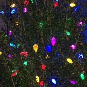 Meet your Posher, Brayden