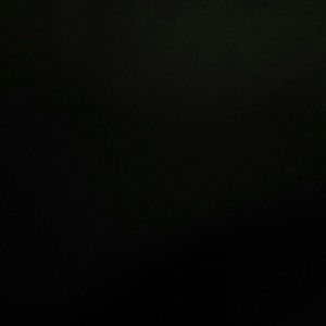 Meet your Posher, Roquita