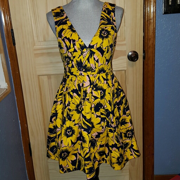 💖FINAL Stunning J. Crew dress!