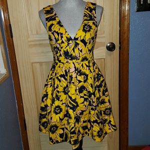 💖FINAL Stunning J. Crew dress!