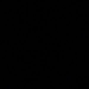 Meet your Posher, Madissen