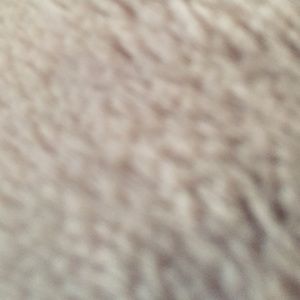 Meet your Posher, Krista