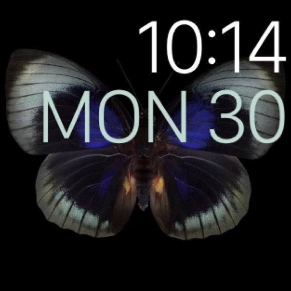 Meet your Posher, Lekia