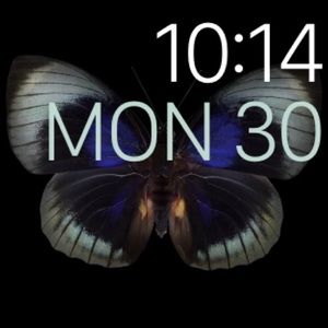 Meet your Posher, Lekia