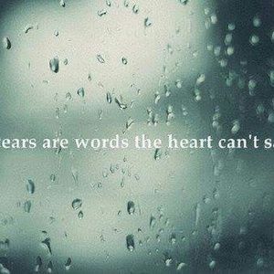 Meet your Posher, Belinda