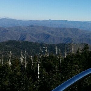 Meet your Posher, Lilli