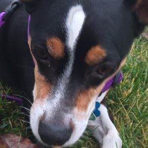 Meet your Posher, Elizabeth