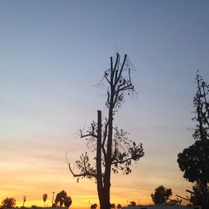 Meet your Posher, Faith