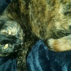 Meet your Posher, Cindy