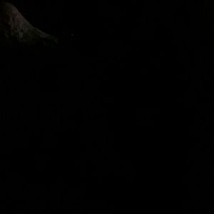 Meet your Posher, Sandy