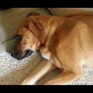 Meet your Posher, Forrest