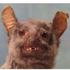 Meet your Posher, Cecilia