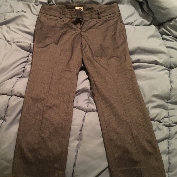 Size 12 petite Loft dress pants