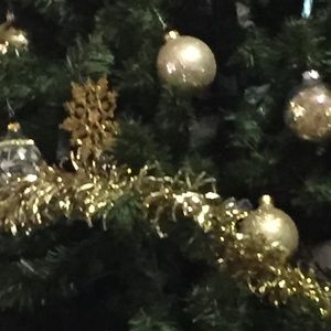 Meet your Posher, Cecil