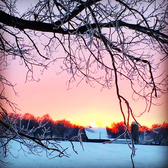 Meet your Posher, Jessica - Picture 1 of 1