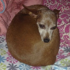 Meet your Posher, Mariefel