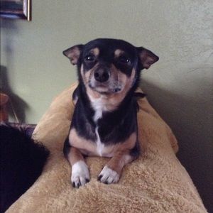 Meet your Posher, Francine