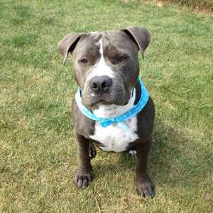 Meet your Posher, Krystle