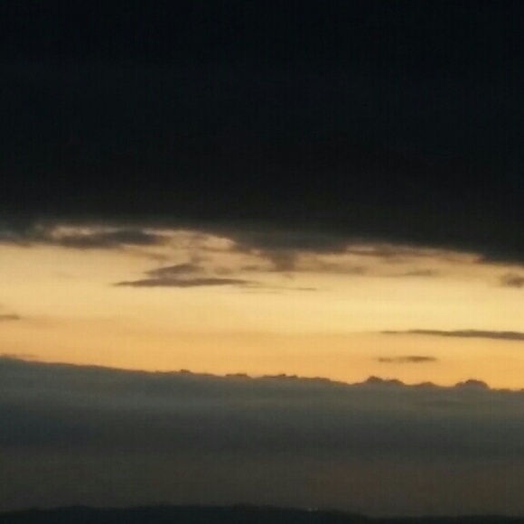 Meet your Posher, Antoinette - Picture 1 of 1