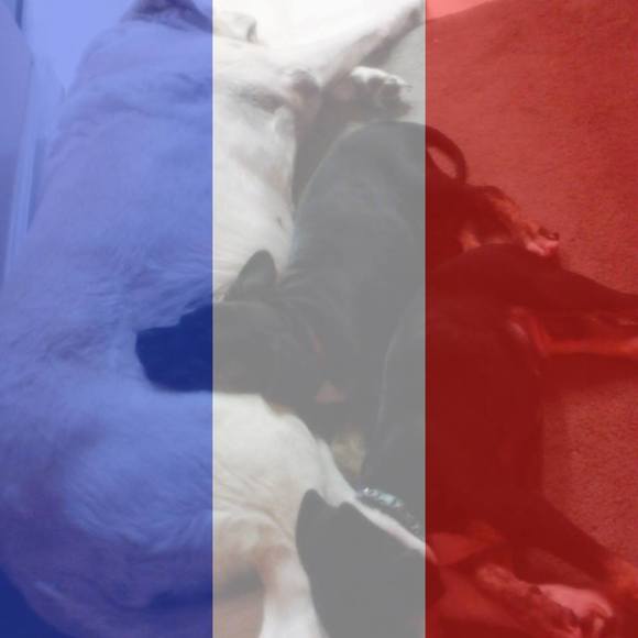 Meet your Posher, Patricia - Picture 1 of 1