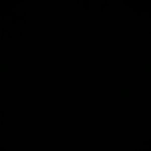 Meet your Posher, Gabriela