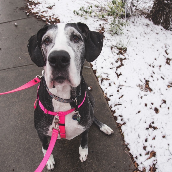 Meet your Posher, Laura - Picture 6 of 8