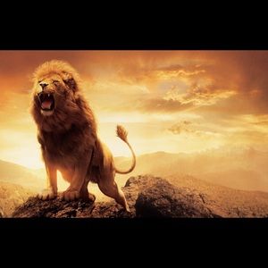 Meet your Posher, Sean