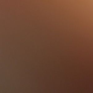 Meet your Posher, Carla