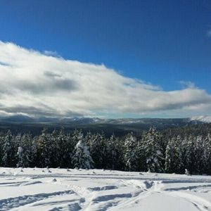 Meet your Posher, Kye