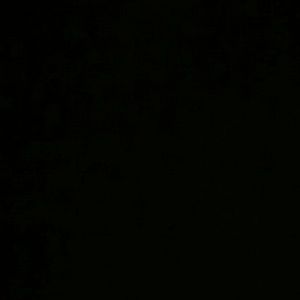 Meet your Posher, Natacha